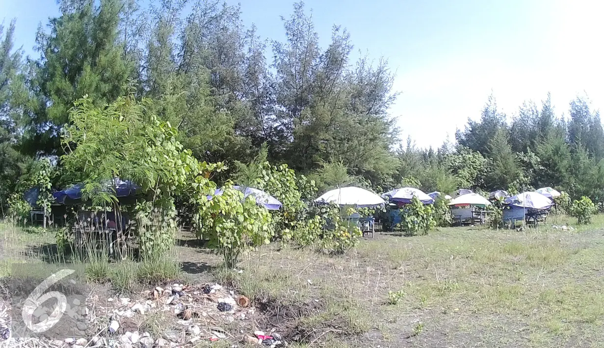 Sejumlah tenda berjejer di kawasan Pantai Alam Indah (PAI), Tegal, Jawa Tengah, Minggu (10/7). Memasuki libur lebaran, Pantai Alam Indah ramai didatangi pengunjung. (Liputan6.com/Herman Zakharia)