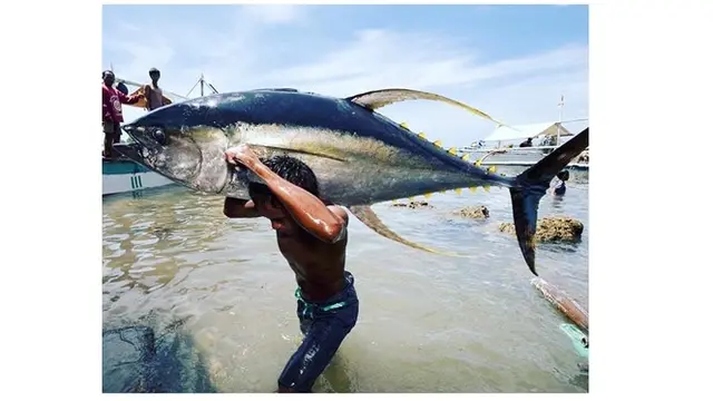 6 Rezeki Tak Terduga Dapat Ikan Seukuran Tubuh Manusia Ini Bikin Melongo