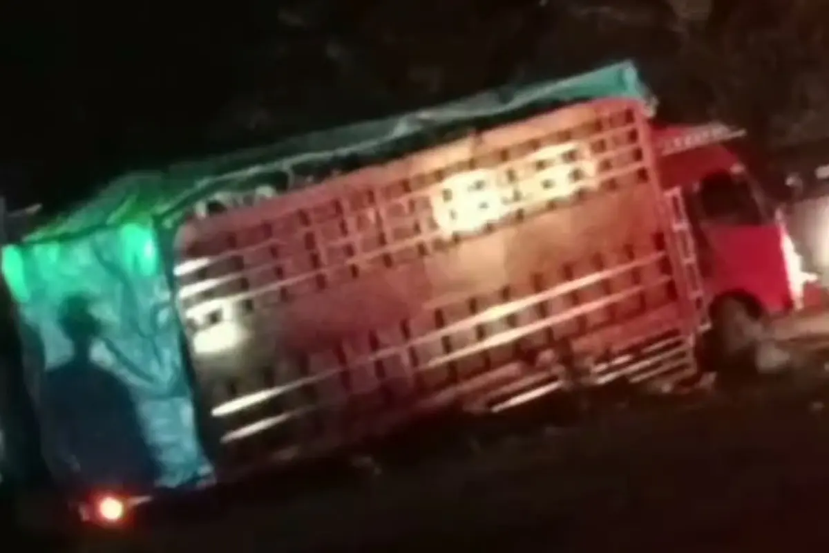 56 penipu online asal Kabupaten Sidrap, Sulsel dibawa ke Mapolda Sulsel dengan menggunakan truk mini bus.