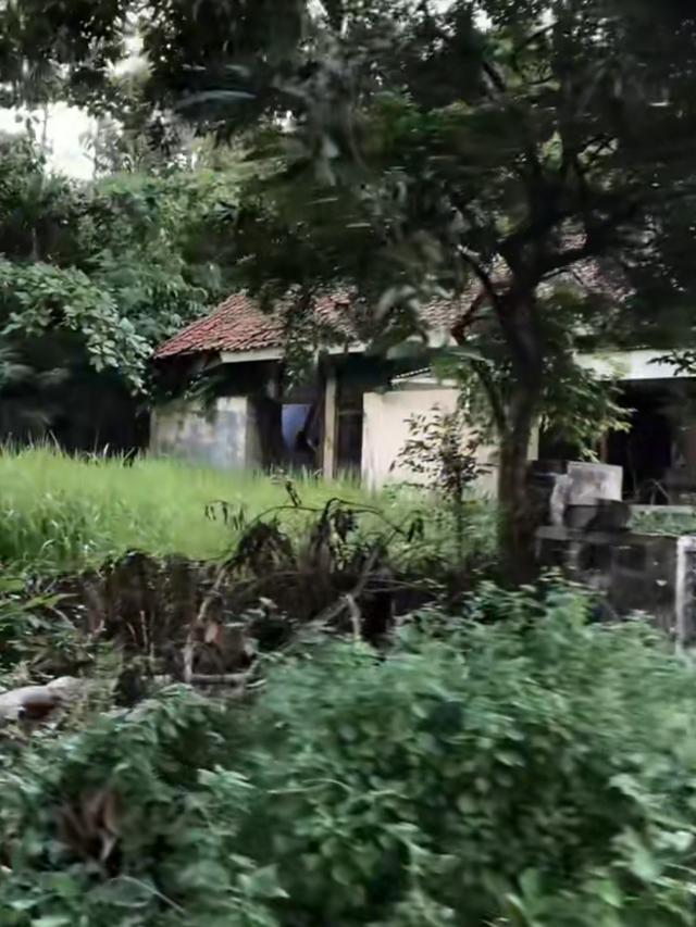 Perumahan Dinas Krakatau Steel Terbengkalai