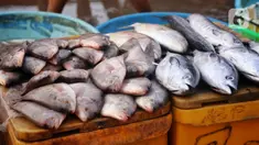 Suasana pasar ikan di Kamal Muara, Jakarta, Jumat (15/4/2022). Menteri Kelautan dan Perikanan Sakti Wahyu Trenggono memastikan pasokan ikan untuk kebutuhan selama Ramadhan 1443 Hijriah dan Hari Raya Idul Fitri aman. (Liputan6.com/Angga Yuniar)
