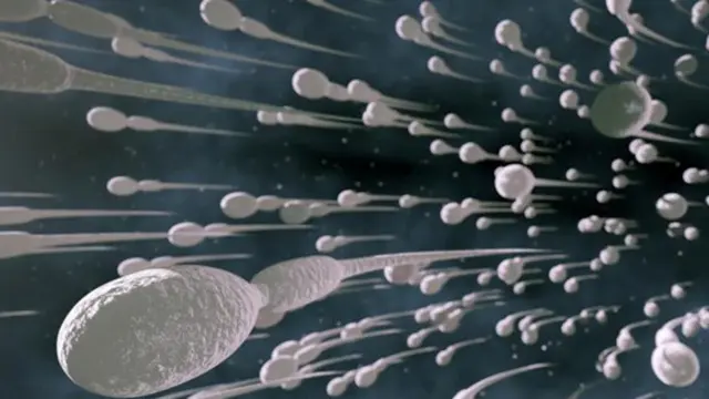 (c) shutterstock.com