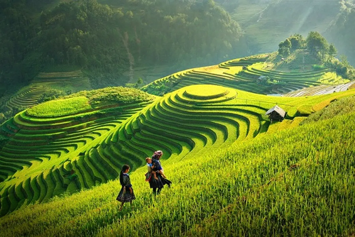 [Bintang] Vietnam