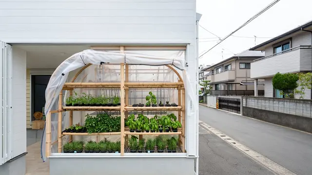 Desain Rumah Mungil Tapi Bisa Punya Mini Greenhouse di Samping