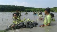 Raja 3,5 juta mangrove pantura bisa mengembangkan aksi penghijauan menjadi pemberdayaan warga nelayan berkelanjutan. (Liputan6.com/Fajar Eko Nugroho)