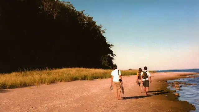 [Bintang] Tarot Hari Ini: Satu Langkah Kecil Berdampak Besar