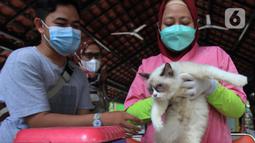 Seekor kucing mengikuti vaksinasi rabies di halaman Kantor RPTRA Hati Suci, Kampung Bali, Jakarta, Selasa (25/1/2022). Sudin KPKP Kota Administrasi Jakarta Pusat Kecamatan Tanah Abang menyediakan 100 dosis vaksin rabies dalam kegiatan vaksinasi gratis tersebut. (merdeka.com/Imam Buhori)