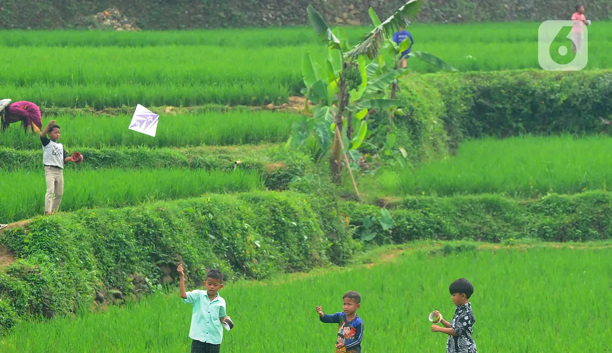 Anak-anak bermain layang-layang pada areal sawah di kawasan Sukamakmur, Bogor, Jumat (15/07/2022). Mereka menghabiskan waktu bermain saat mengisi waktu libur panjang  sekolah.
(merdeka.com/Arie Basuki)