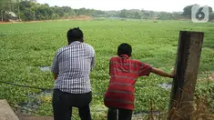Warga melihat Setu Pengarengan yang dipenuhi eceng gondok di kawasan Depok, Jawa Barat, Selasa (8/10/2019). Tidak kunjung dibersihkan menjadi penyebab seluruh permukaan setu tersebut dipenuhi tanaman eceng gondok. (Liputan6.com/Immanuel Antonius)
