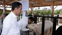 Presiden Joko Widodo dan Ibu Negara melakukan kunjungan ke Desa Parsingguran, Kecamatan Pollung, Kabupaten Humbang Hasundutan guna meninjau pengembangan peternakan dan pertanian, Rabu (31/7/2019).