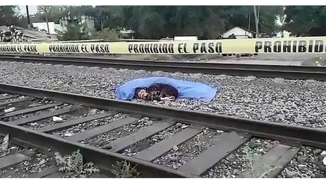 Foto Anjing Tak Ingin Tinggalkan Pemilik yang Meninggal Ini Bikin Terenyuh
