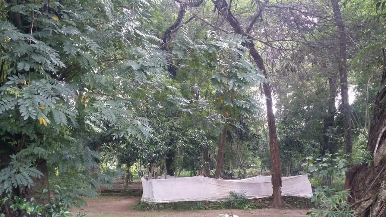 Kerajaan Jipang