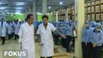Mayora merupakan perusahaan yang mengekspor produknya ke lebih 100 negara di dunia.