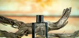 Tips parfum tahan seharian saat beraktivitas di luar ruangan. (foto: kamranaydinov/freepik)