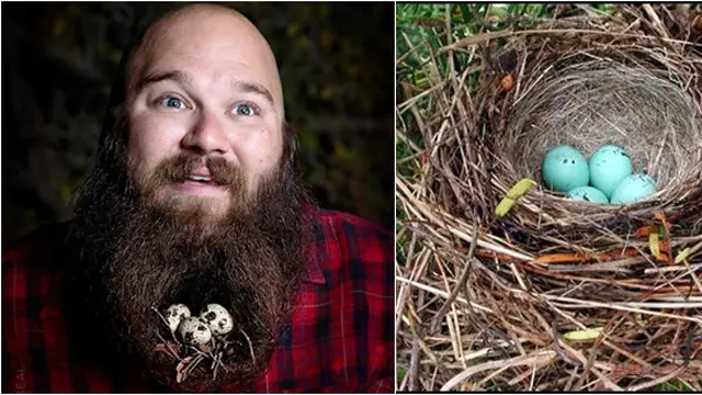 (c)oddee.com/smartisans.com