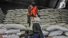 Stok Beras Nasional Capai 5,17 Juta Ton, Aman hingga 1 Tahun