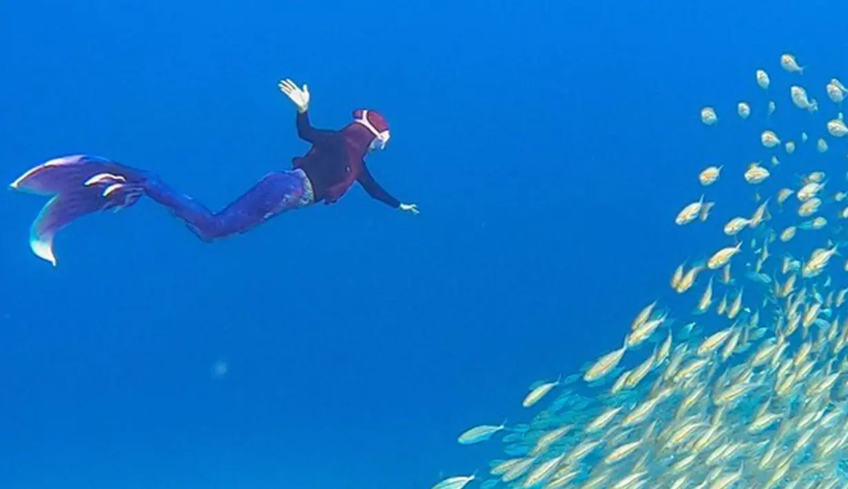 <p>Tak hanya paus, YouTuber kondang Tanah Air juga antusias saat bertemu ikan-ikan kecil yang berkoloni. Ria Ricis terlihat sangat takjub dengan keindahan bawah laut. Tak heran, pengalaman snorkeling melihat berbagai ikan yang lucu tak akan pernah dilupakannya. (Liputan6.com/IG/@riaricis1795)</p>