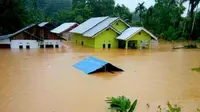 Hujan deras yang mengguyur Kabupaten Dharmasraya, Sumatera Barat, sejak Selasa dini hari (21/1/2020), membuat empat kecamatan di kawasan tersebut tergenang banjir. (Liputan6.com/ Novia Harlina)