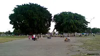 Berburu Peruntungan di Alun-Alun Yogyakarta