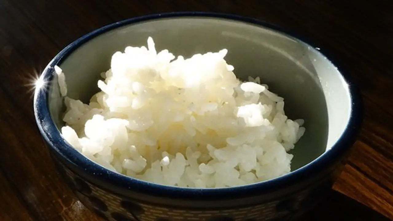 Nasi shirataki/copyright Pixabay.com/juemi