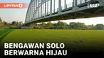 Penyebaran eceng gondok di Sungai Bengawan Solo semakin meluas. Salah satu jenis tanaman yang mengganggu atau gulma ini terlihat memenuhi permukaan sungai. Sehingga aliran sungai terpanjang se-Pulau Jawa itu terlihat hijau.