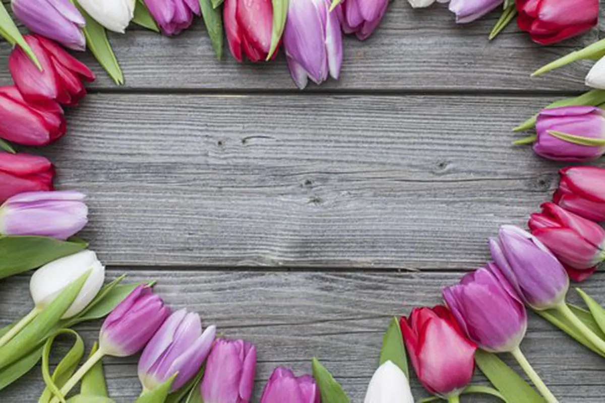 Foto: copyright thinkstockphotos.com