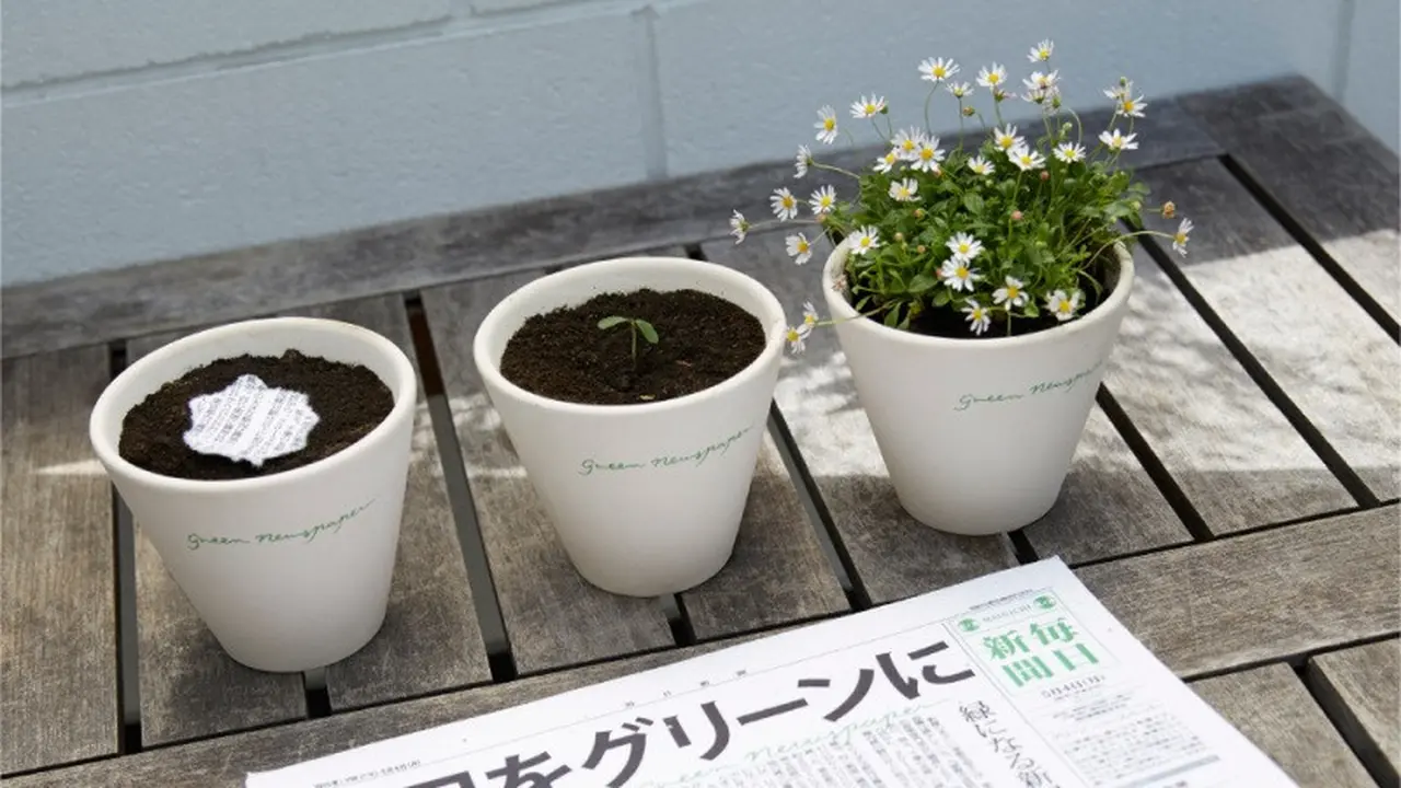 Canggih, di Jepang Koran Bekas Bisa Tumbuh Jadi Tanaman