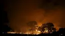 Kebakaran besar terjadi di sebelah utara Kota San Francisco. Api dilaporkan telah melalap lahan seluas lebih dari 145 kilometer per segi, California, Amerika Serikat, Senin (3/8/2015). (Reuters/ Stephen Lam) 