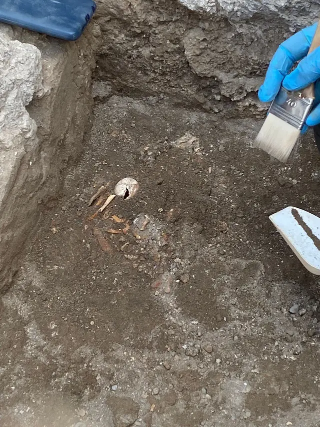 Fosil kura-kura ditemui di Pompeii