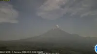Gunung Semeru Kembali Erupsi, Tinggi Letusan Capai 500 Meter