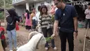 Mengunjungi rumah saudara hingga mengunjungi peternakan domba. Kiky dan suami juga melihat kadang dan memberi makan domba garut yang bernama Asep. [Youtube/Kiky Saputri Official]