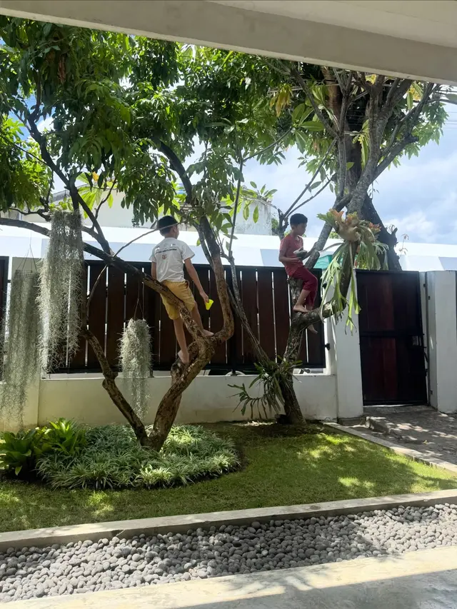 Potret Teras Rumah Zaskia Adya Mecca di Jogja