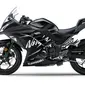 Kawasaki Ninja 300 (Foto: rushlane.com).