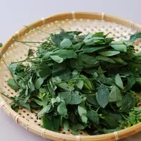 Simak resep sayur bening daun katuk berikut ini