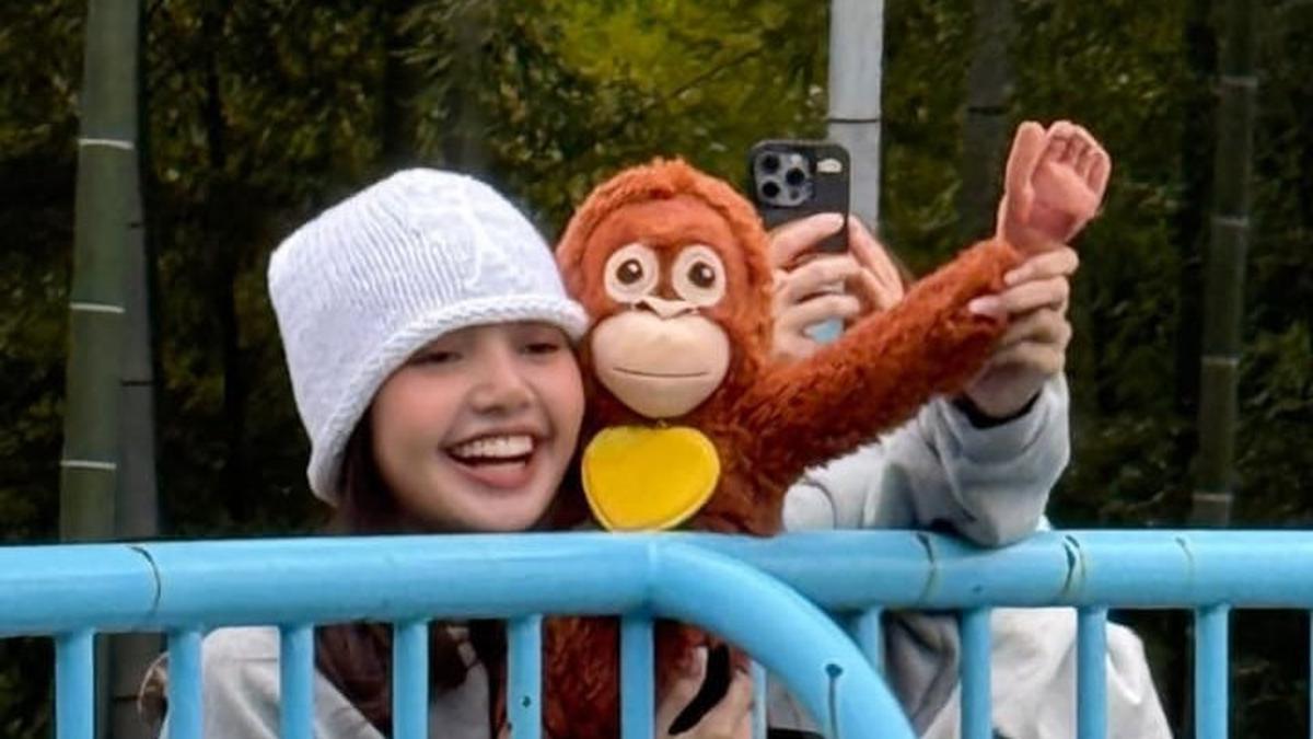 Lisa BLACKPINK Kunjungi Punch Si Bayi Monyet Viral di Jepang, Bawa Boneka Orang Utan