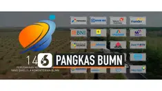 TV BUMN