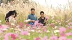 Musim Gugur menjadi salah satu musim favorit warga Korea Selatan. Banyak festival digelar saat musim gugur.