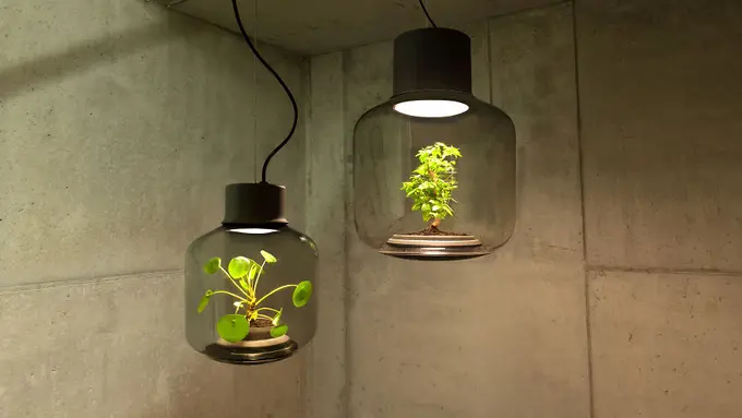 Tak Cuma Menerangi, Lampu Ini Bisa Jadi Pot Tanaman di Ruangan