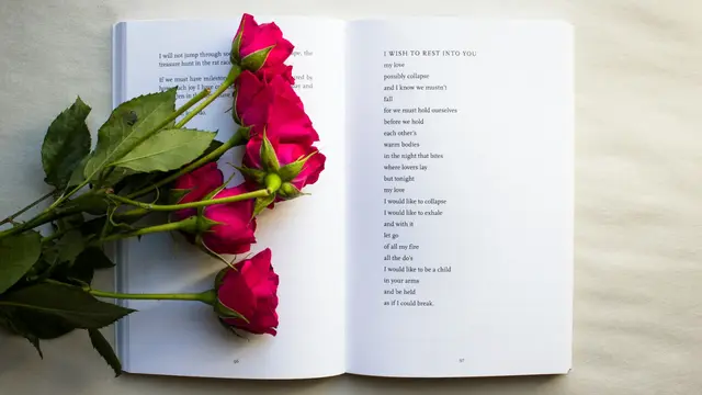 Ilustrasi buku, puisi, romantis