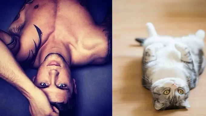 19 Cowok 'Hot' dan Kucing, Dua Keelokan dalam Satu Bingkai