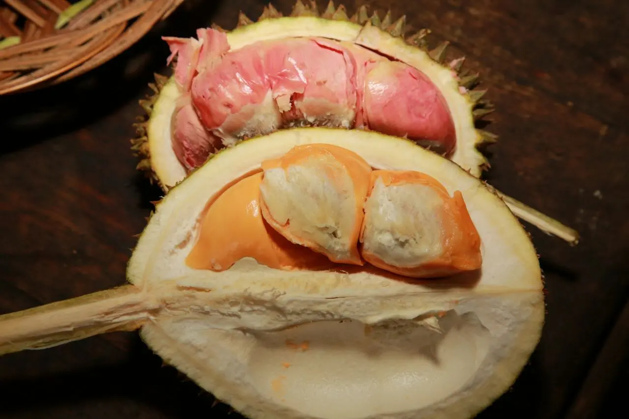 Kampung Durian Banyuwangi memiliki beragam varian durian, beberapa di antaranya adalah durian merah dan orange. (Liputan6.com/ Dian Kurniawan)