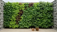 6 Desain Vertical Garden yang Menyatu dengan Dinding Roster, Mempercantik Hunian Modern