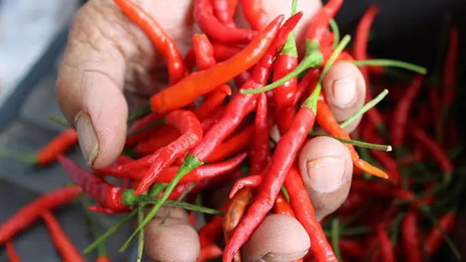 copyright pixabay.com/Basecamp_stock