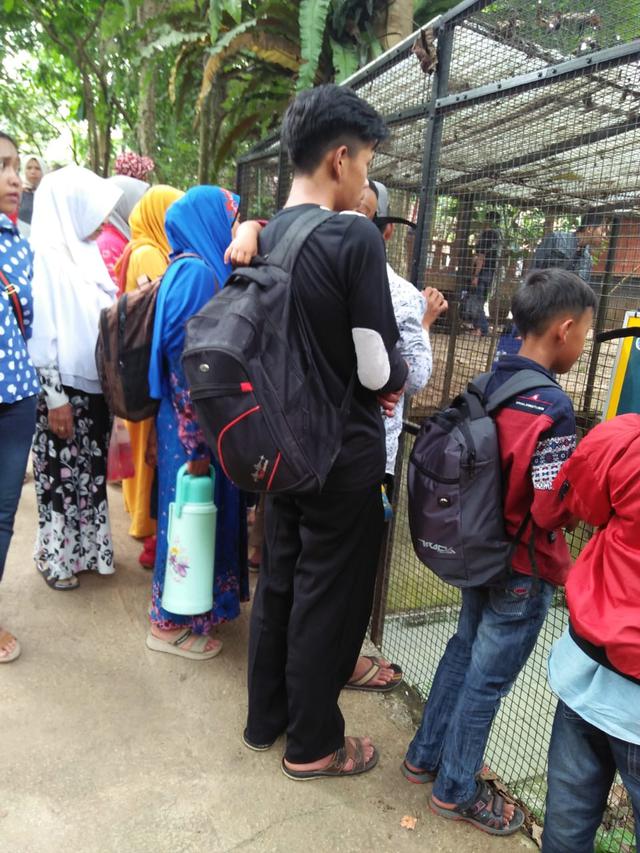 Beberapa pengunjung tua, muda dan dewasa nampak antusias menyaksikan tingkah lucu dan menggemaskan satwa taman Cikembulan, Garut, Jawa Barat