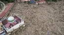 Sementara, area belakang pesantren yang sebelum bencana banjir bandang adalah kawasan asrama santri putra dengan kolam-kolam untuk ternak ikan dan perkebunan, kini dipenuhi potongan kayu besar. Tampak foto udara menunjukkan tumpukan pohon tumbang yang tersapu banjir bandang sekitar tiga minggu lalu di Pesantren Darul Mukhlisin dan masjid yang terhubung dengan pesantren tersebut di Aceh Tamiang, pada Minggu 14 Desember 2025. (Foto oleh AFP)