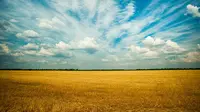 50 Sky Quotes That Are Perfect for Instagram Captions