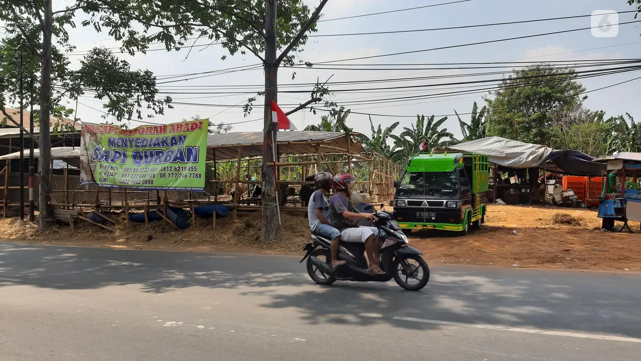 Lokasi penjualan hewan kurban di Jln. K.H. Hasyim Ashari, Kota Tangerang.
