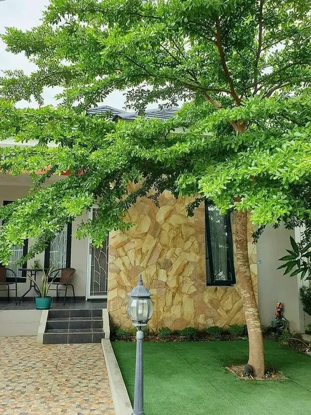 Taman Rindang Sederhana