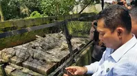 Penampakan Buaya 'Buwas' untuk Penjara Bandar Narkoba