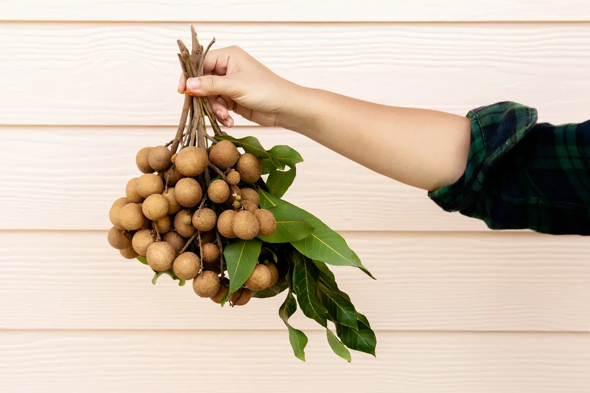 Buah Kelengkeng